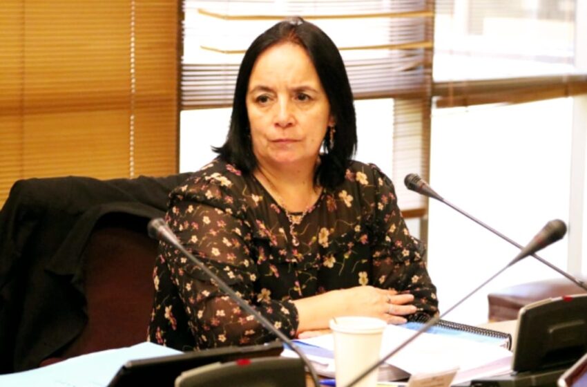  Senadora Aravena: «Los Comunistas Están Haciendo Ingobernable La Administración Del Presidente Boric»