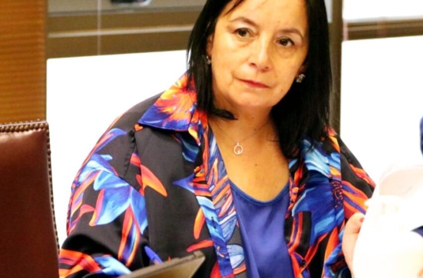  Senadora Aravena Pide Que Agenda Legislativa Se Incorpore Modernización De Ley Antiterrorista