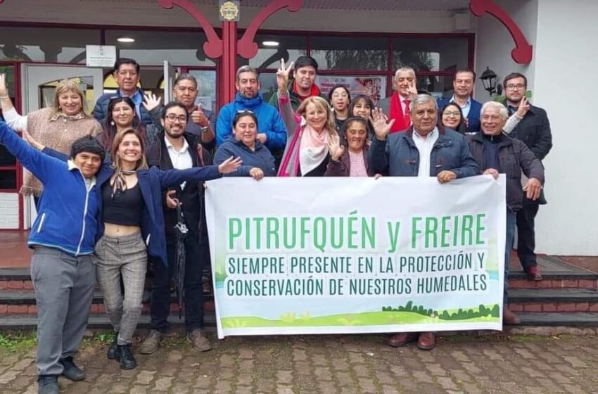  Pitrufquén Y Freire Inician Proceso De Declaración Del Humedal Urbano Río Toltén