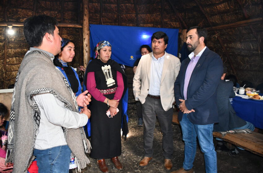  CONADI Destinó $160 Millones Para Concurso De Emprendimiento De Mujeres Rurales Mapuche De La Araucanía