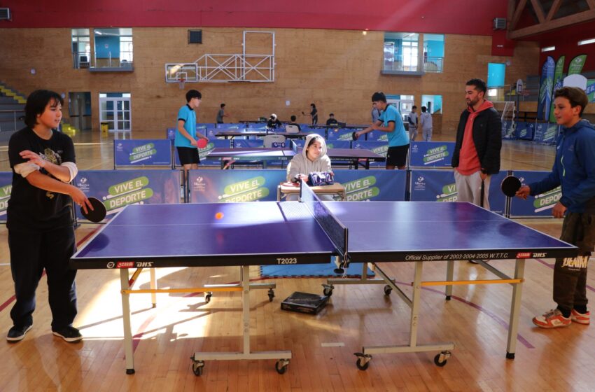  En Villarrica Juegos Deportivos Escolares Despiertan Interés En Comunidades Escolares