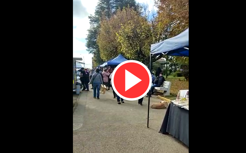  VIDEO: Plaza De Armas De Loncoche, Es El Ambiente Que Se Vive Día De Elecciones