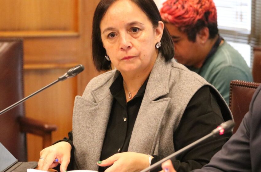  Senadora Aravena: El Presidente Boric Sólo Habló De Comisión De Paz Y Entendimiento Y Del Plan Buen Vivir