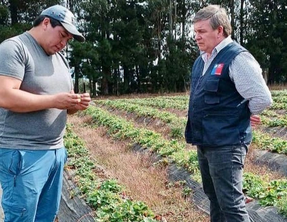  INDAP Abre Nuevo Programa Enfocado En La Transición Hacia La Agricultura Sostenible en la Araucanía