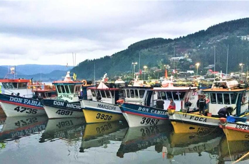  Subsecretario Destaca Aporte Económico Y Cultural De La Pesca Artesanal