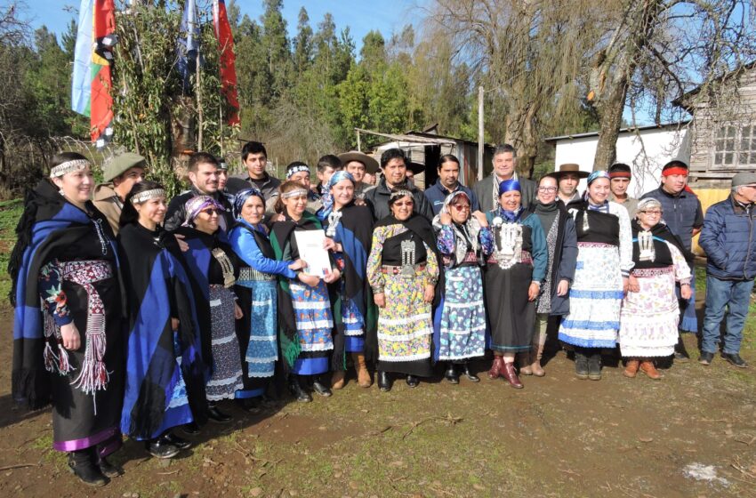  En Padre Las Casas CONADI Restituyó Tierras Y Derechos De Aguas A Comunidad Mapuche Maica Nahuelpán