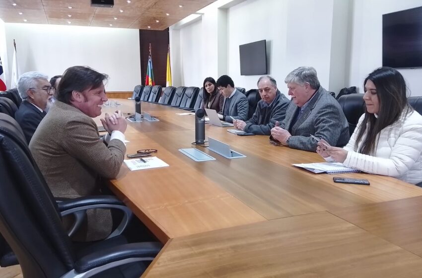   Alcalde De Villarrica Acerca Opciones De Tener Un Campus Clínico Para Atenciones Médicas