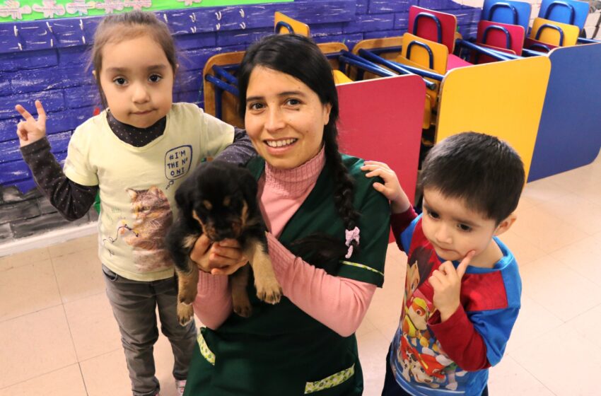  Sala Cuna Y Jardín Infantil De Villarrica Enseña De Tenencia Responsable Con Mascotas
