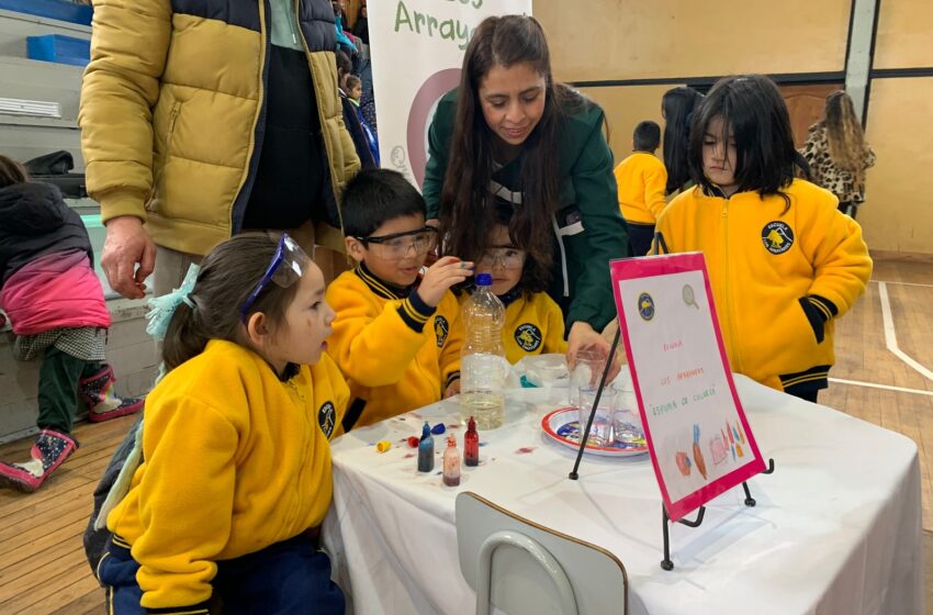  Pequeños Participaron De La 5° Feria Científica De Educación Parvularia Realizada En Pucón
