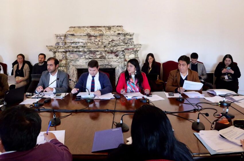  Ministra Toro entregó antecedentes sobre pérdida de tierras mapuche y explicó el rol histórico del MBN en el proceso