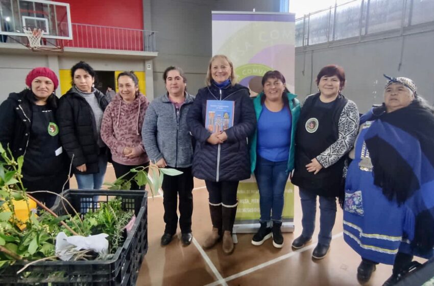  Mesa Comunal De Mujeres Rurales De Pitrufquén Celebra Enriquecedor Trafkintu