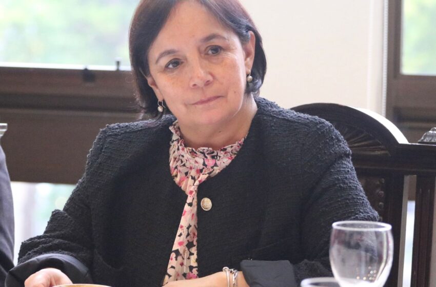  Senadora Aravena Responde A Tohá Por Veto A Ley De Usurpación: «Gobierno Valida El Mismo Argumento De La CAM»