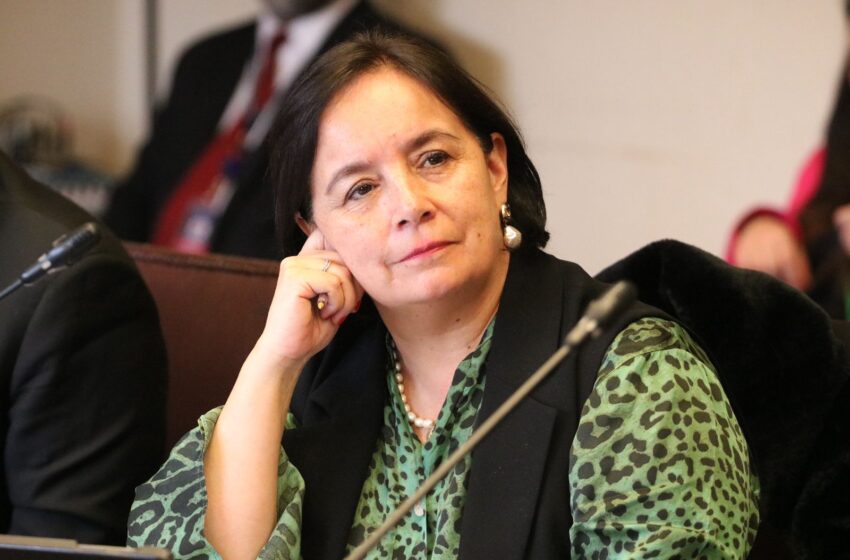 Senadora Aravena Llama Al Director Nacional De Educación Pública A Poner Su Cargo A Disposición