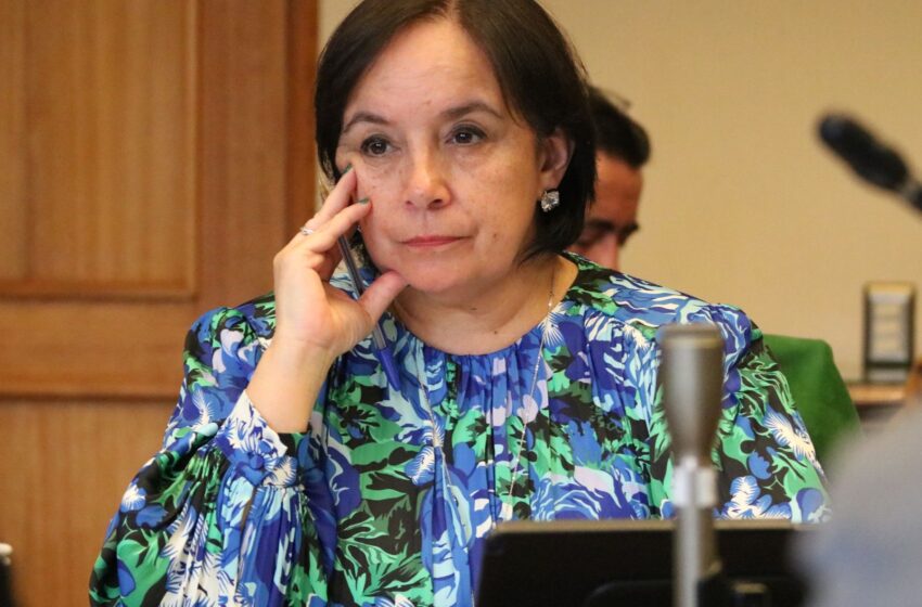  Senadora Carmen Gloria Aravena Se Refiere A Detención En Flagrancia De 5 Integrantes De La CAM En Antuco