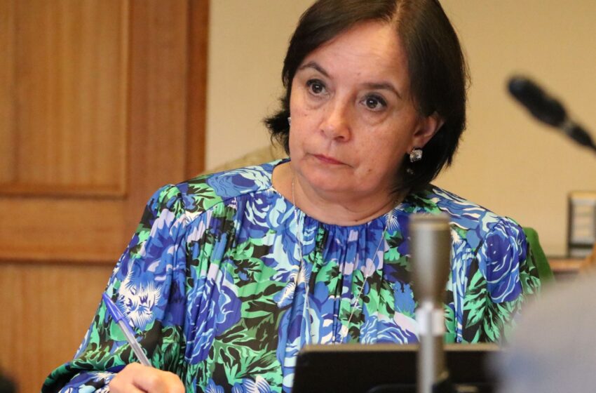  Senadora Carmen Gloria Aravena Llama A Resolver Situación De Paseo Bulnes Y  Mercado Municipal De Temuco