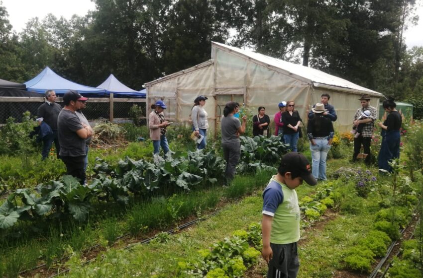  Municipio De Loncoche Innova En Agroecología En La Araucanía Para 40 Pequeños Agricultores