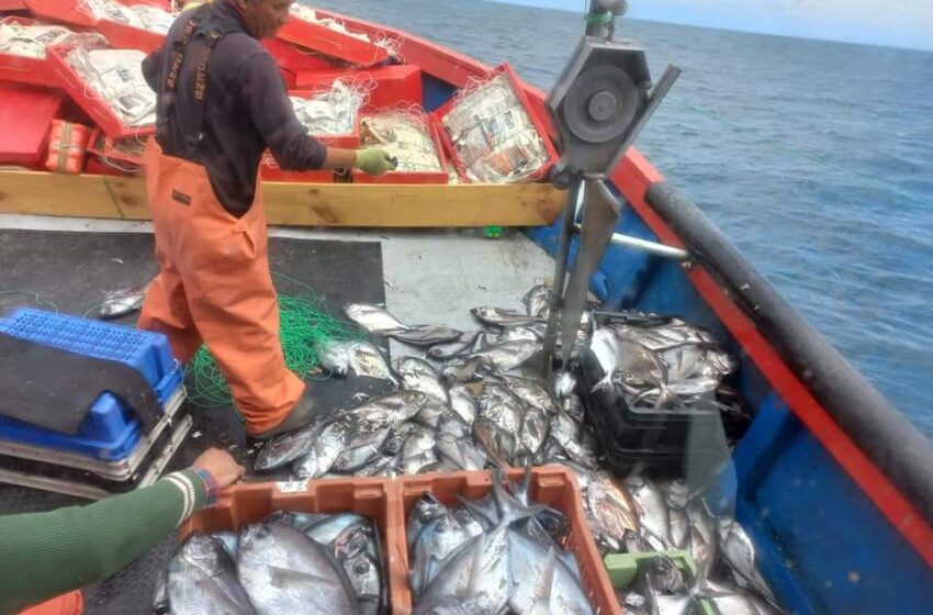  Pescadores De Queule Denuncian Que Alrededor De 200 Lanchas De Lebu Invaden Zona De Pesca De La Araucanía