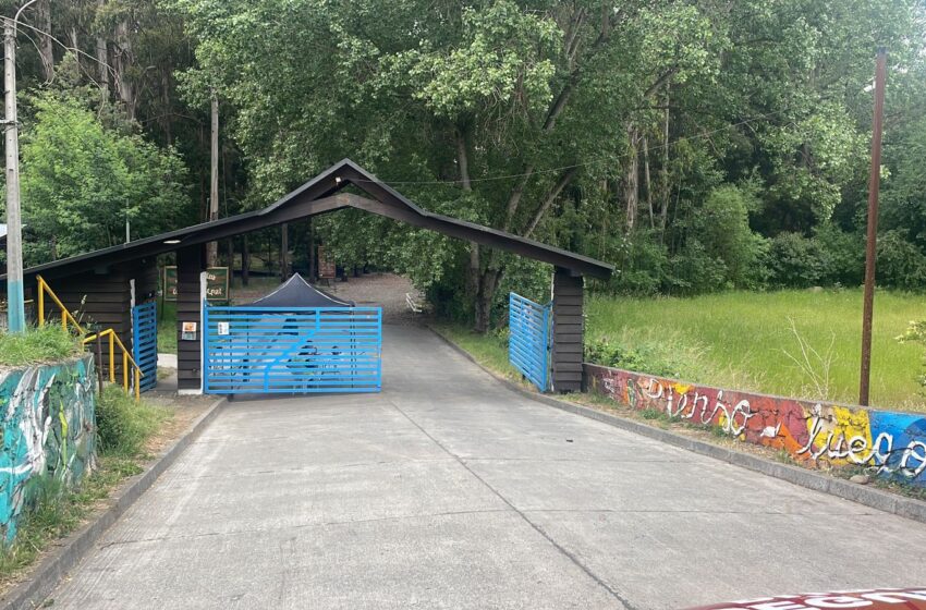  En Pitrufquén Parque Isla Municipal Abrió Sus Puertas Al Acceso Vehicular En Inicio De Temporada Estival