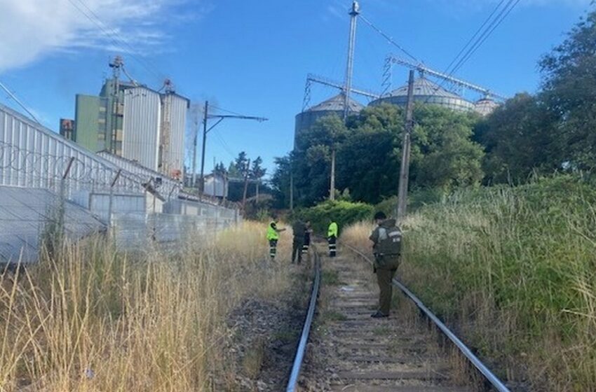  Trágica Muerte De Hombre Al Ser Atropellado Por Un Tren Cerca Del Viaducto Malleco