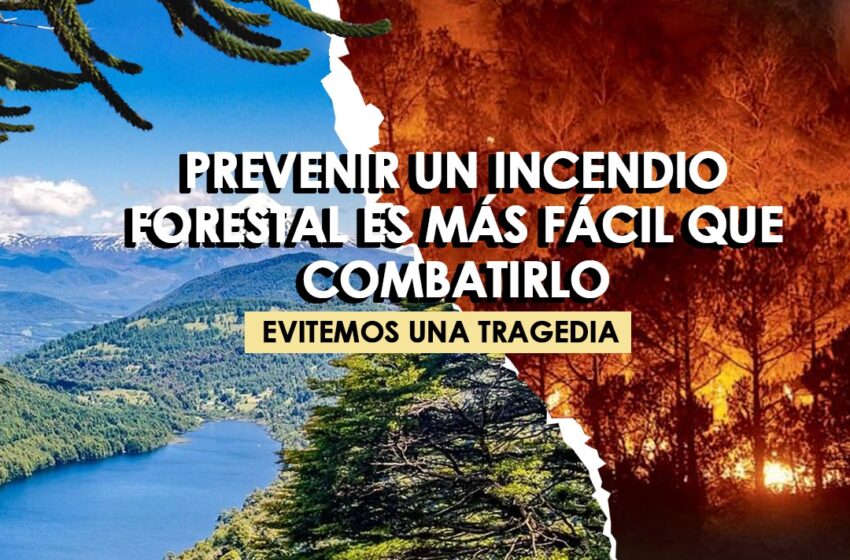  En Pucón Llaman A La Prevención Ante Alta Probabilidad De Incendios Forestales En La Comuna