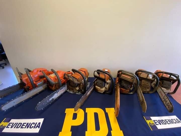  PDI Decomisa Motosierras Y Detiene A Cuatro Hombres Por Sustracción De Madera
