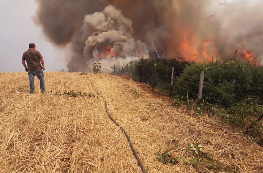  Jueves 8 Febrero 11:00 Horas: Actualización De Incendios Forestales En La Araucanía