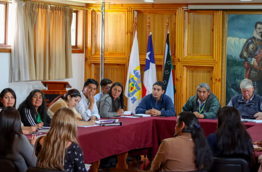   Asociación Indígena Wallontü Winkull Se Formó En Villarrica Para Mejorar Condiciones De Vida