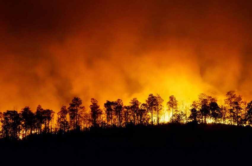  Entregan Recomendaciones En Salud Mental Para Personas Afectadas Por Incendios Forestales