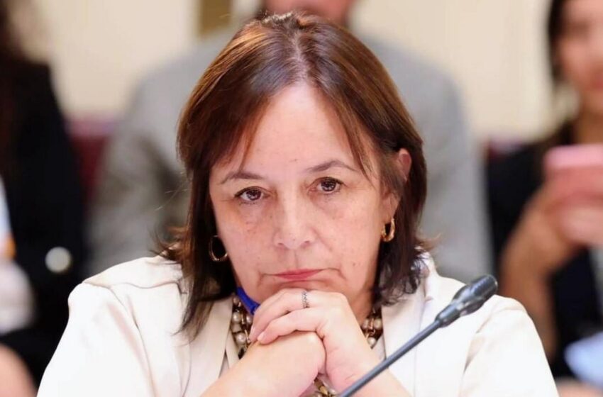   Senadora Carmen Gloria Aravena, Por Decisión Del Presidente Boric De Convocar Al COSENA