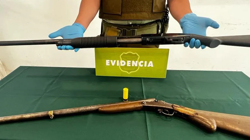  Investigación Por Venta Clandestina De Alcohol Terminó Con Mujer Detenida Por Tenencia De Armas En Lautaro