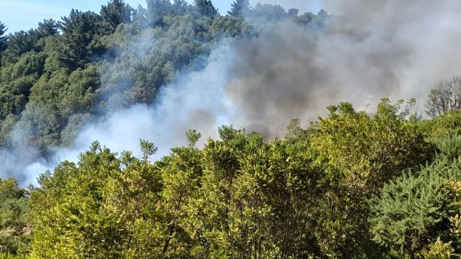  Dos Detenidos Por Su Presunta Responsabilidad En El Incendio Que Afectó Al Cerro Ñielol