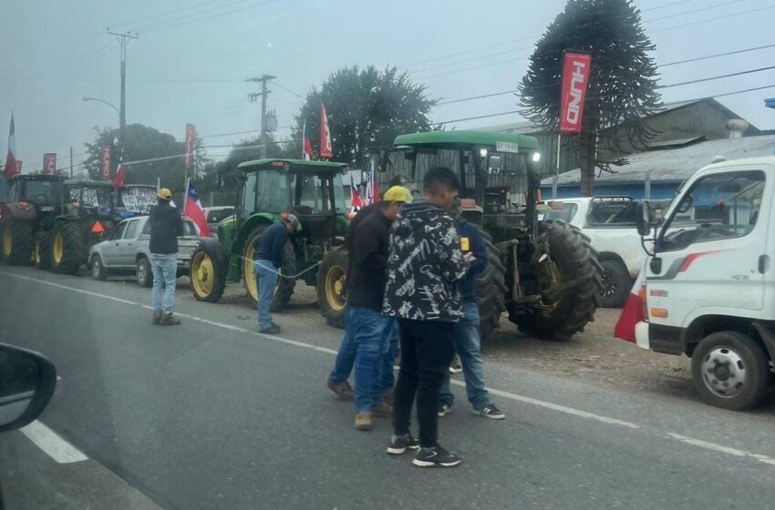  Agricultores de La Araucanía se dirigen a Temuco para manifestación por el precio del trigo