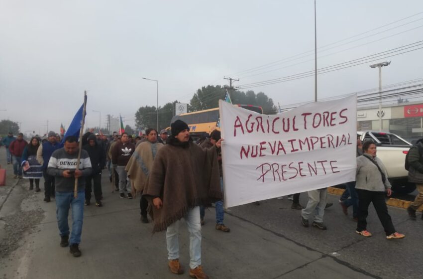  Manifestación de agricultores en Temuco exige soluciones ante  falta de respuesta municipal