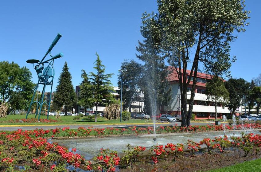  Ufro se posiciona como la segunda universidad estatal con mejor resultado en Beca ANID de Doctorado 2024