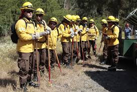  CONAF abre calendario de quemas de desechos agrícolas y forestales en toda La Araucanía