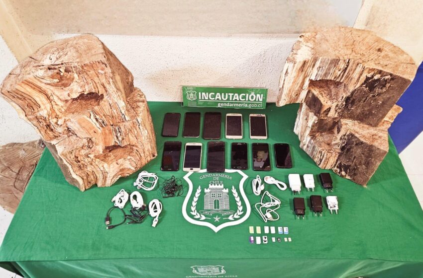  Gendarmería frustra ingreso de 11 celulares ocultos en troncos de madera en la Unidad Penal de Lautaro