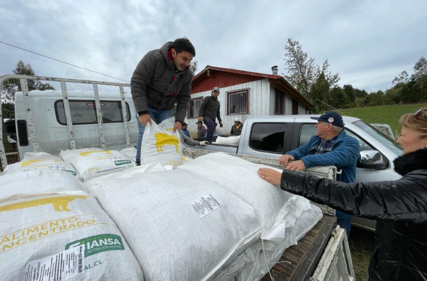  Colonia O’Higgins y Las Quemas celebran: Municipalidad de Pitrufquén entrega apoyo clave para agricultores