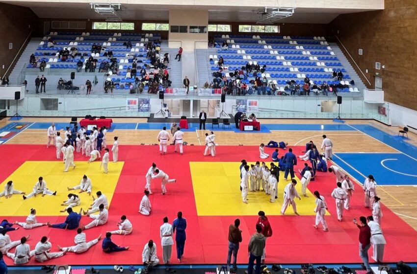  Más De 100 Competidores Participaron Del Campeonato Regional Federado Y Open De Judo En Pucón