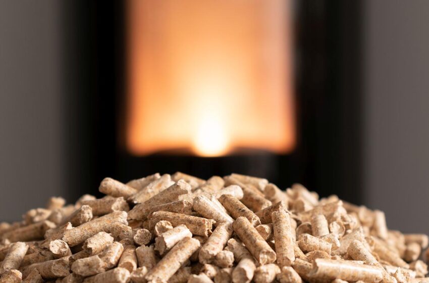 ¡Gobierno garantiza abastecimiento de pellet en La Araucanía para el invierno!