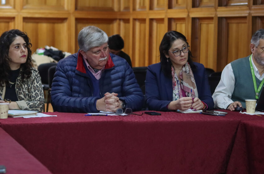 Consejo de Seguridad Pública de Villarrica enfrenta con nuevo programa la violencia de género