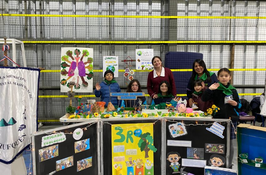  Exitoso día del medio ambiente en Pitrufquén con proyectos escolares sustentables