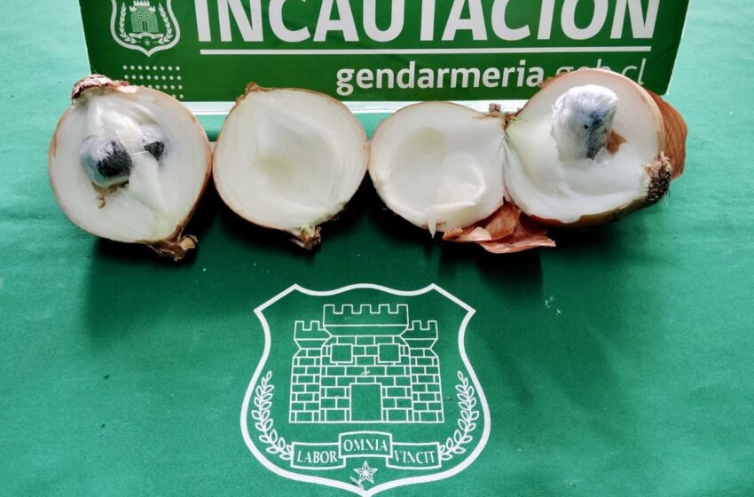  Intento de ingreso de droga en cebollas es frustrado en la cárcel de Temuco