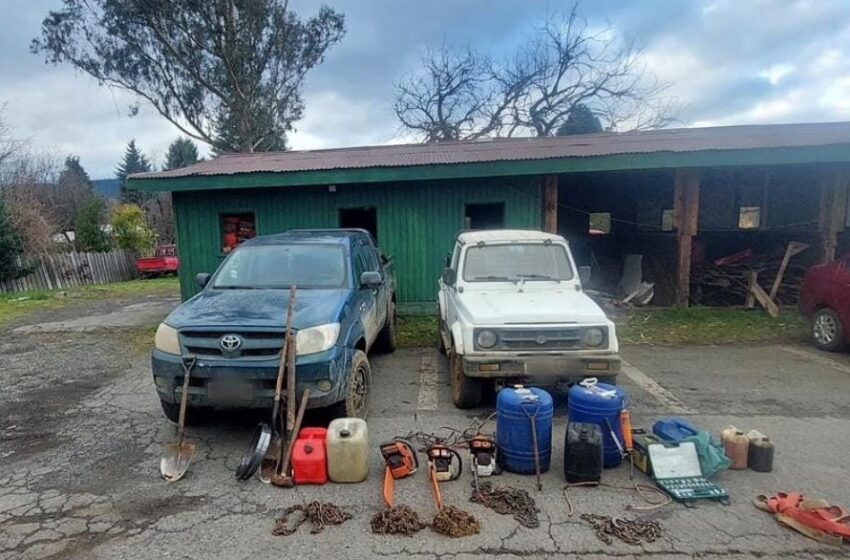  Detenidos en Cunco por tala ilegal: Incautan herramientas y vehículos