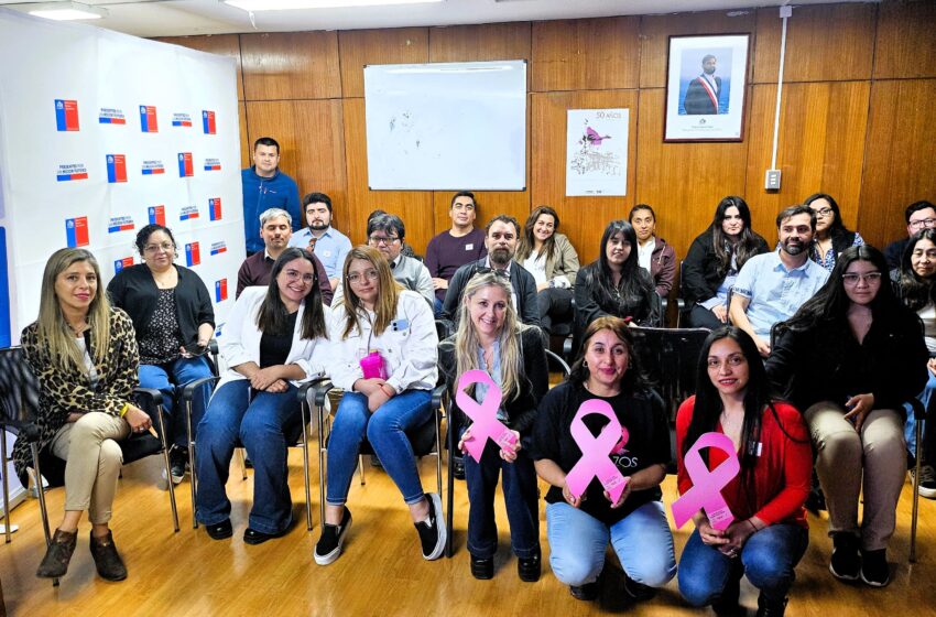  Bienes Nacionales de La Araucanía cierra “Octubre Rosa” con charla sobre concientización del cáncer de mamas destinada a funcionarios y funcionarias