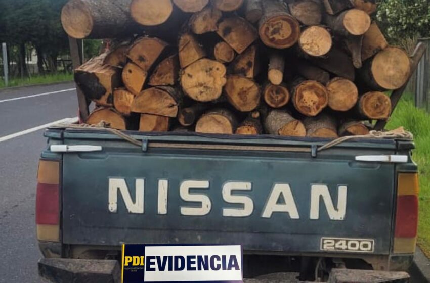  En Cunco PDI Detiene A Dos Personas Por Robo De Madera Avaluada En 3.5 Millones De Pesos