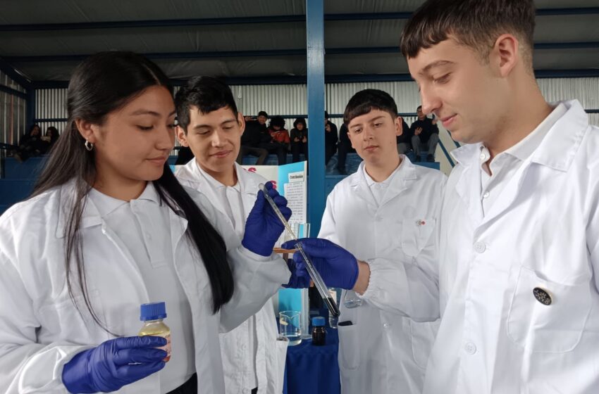  Pitrufquén: Estudiantes del Liceo Bicentenario Monseñor Guillermo Hartl Presentan Innovadores Proyectos Feria Científica