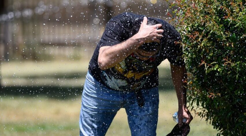  Meteorología mantiene alerta por altas temperaturas en La Araucanía