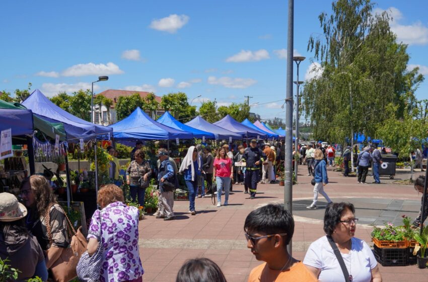  Expo Flores Pitrufquén 2024: Más de mil visitantes disfrutaron de la feria ornamental