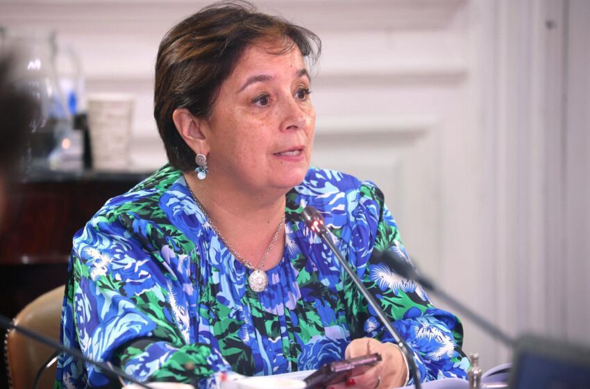  Senadora Aravena: «La ley de usurpaciones demuestra que Chile necesita endurecer penas y proteger la propiedad privada»