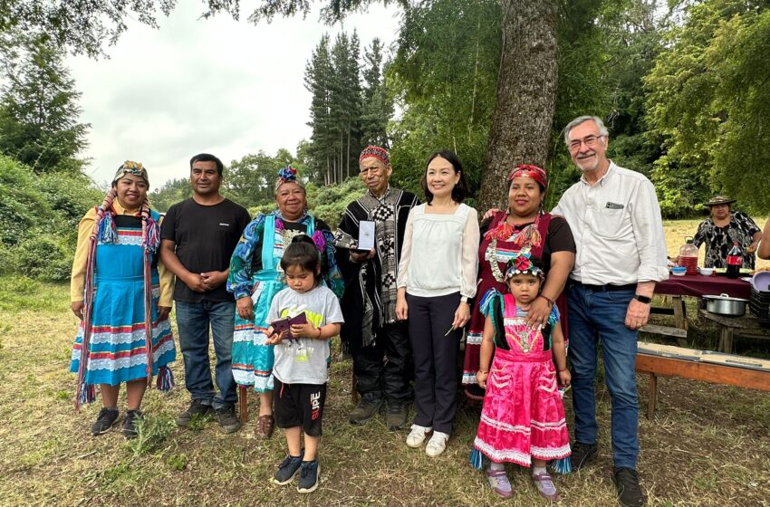  Embajadora de Taiwán recorre La Araucanía para fortalecer lazos de cooperación cultural y productiva